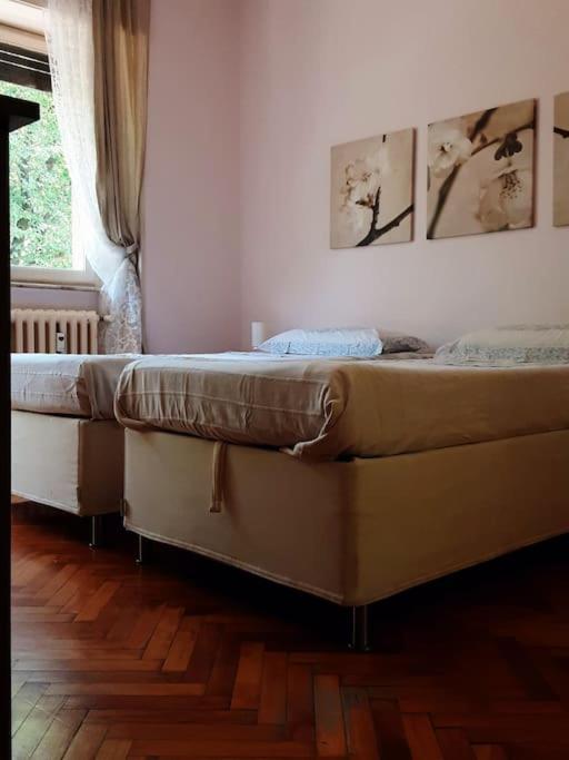 Gigia's Home, On The Of The Trees Appartement